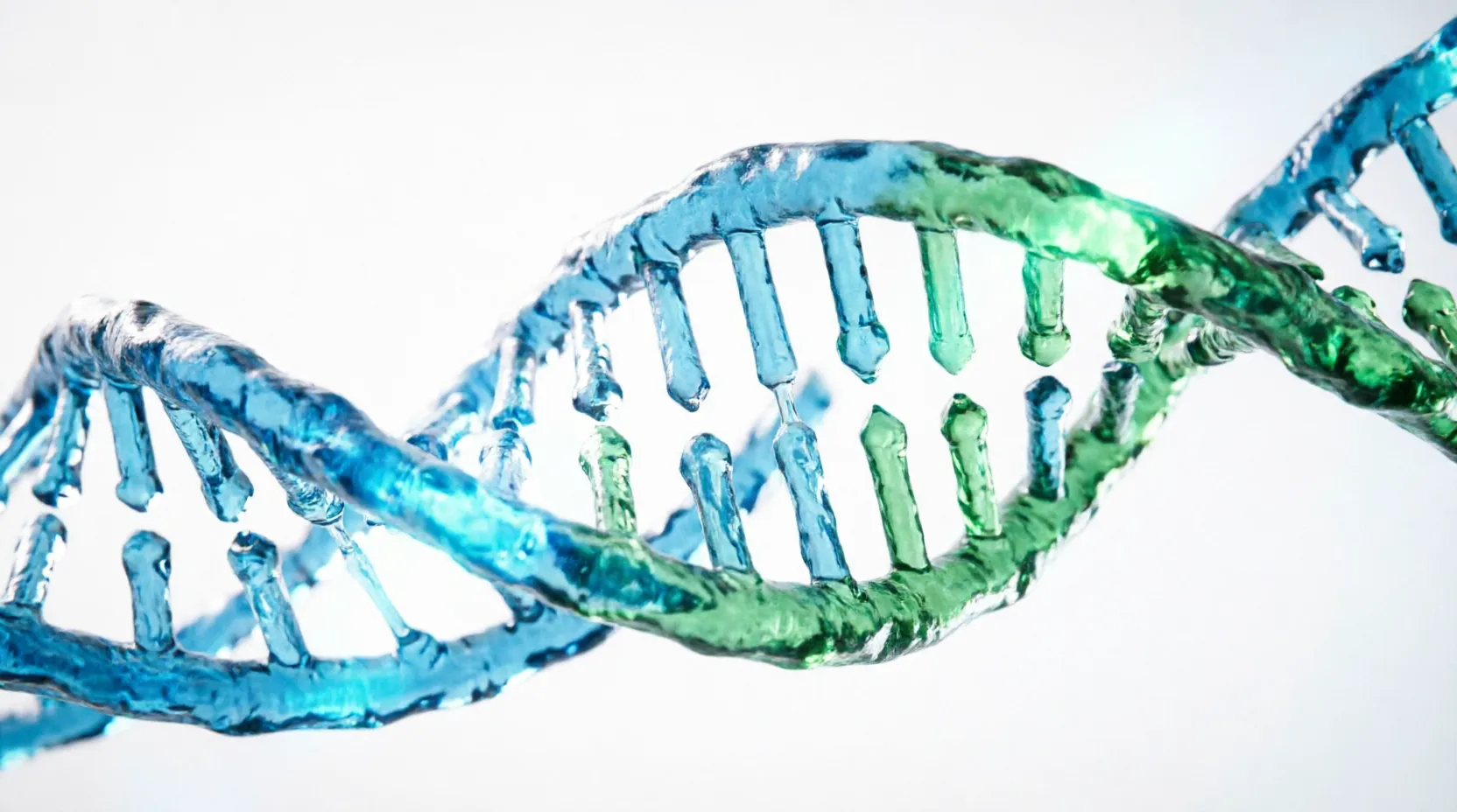 DNA double helix molecular structure