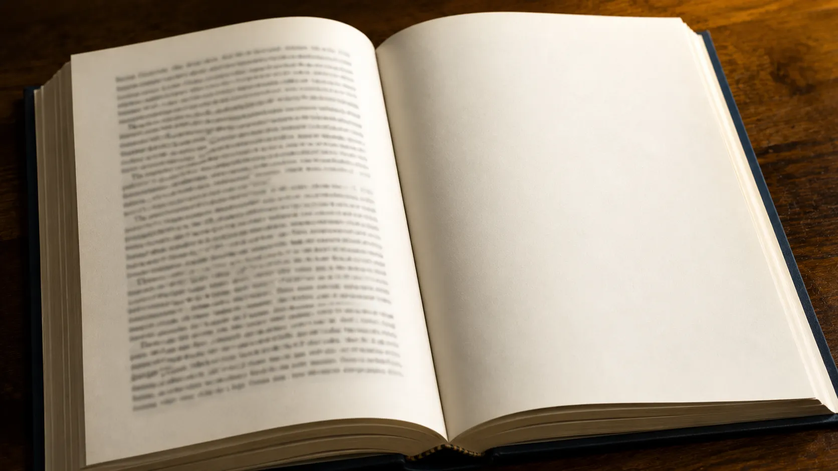 Open book showing blank pages at the back