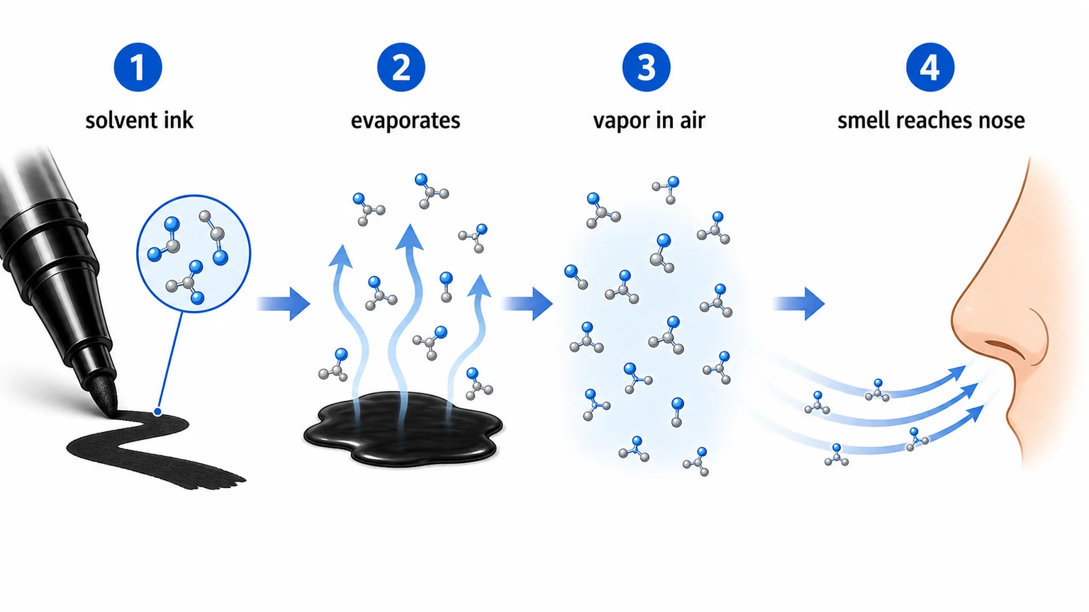 Diagram showing permanent marker ink solvent evaporating and pigment bonding to a surface
