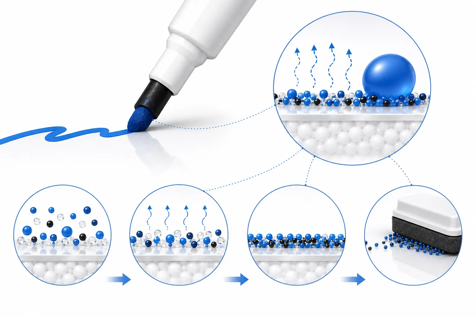 Why Do Dry Erase Markers Wipe Off?
