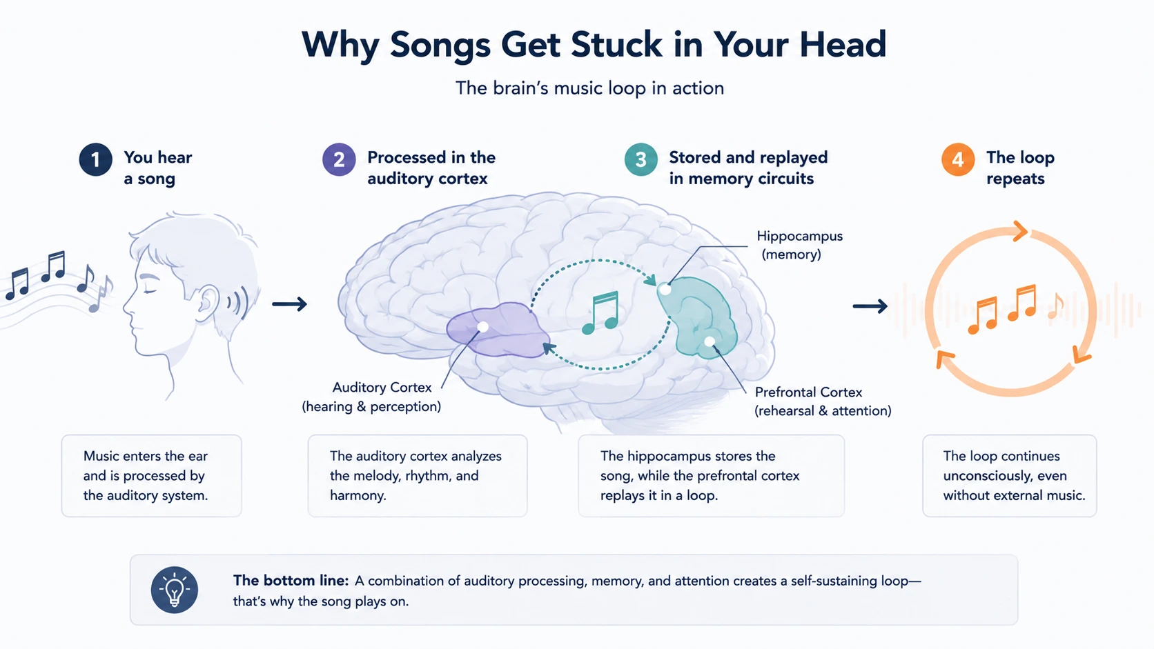 Diagram showing features of sticky songs including tempo, repetition, and rising then falling pitch