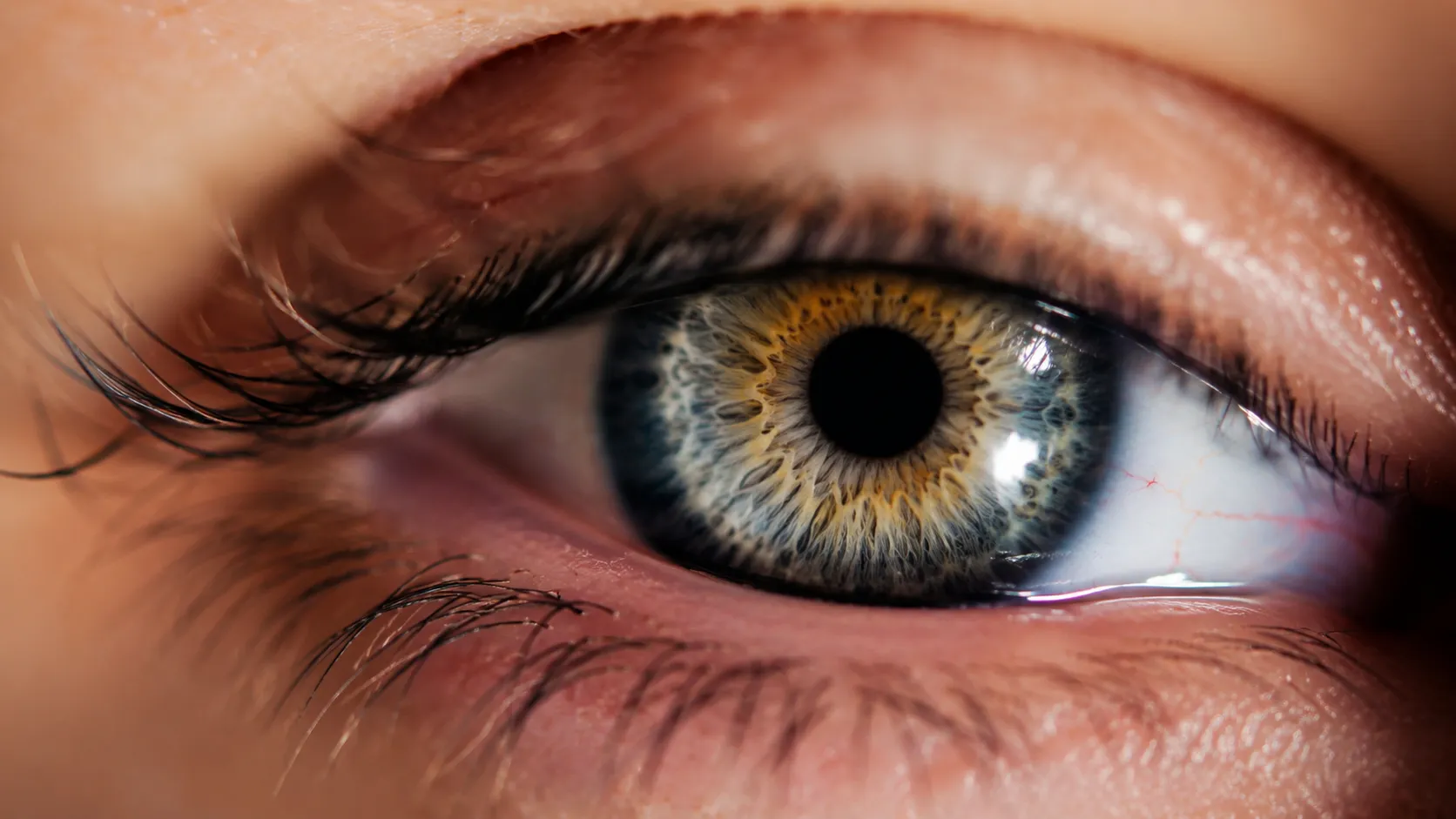 Close-up of a human eye mid-blink