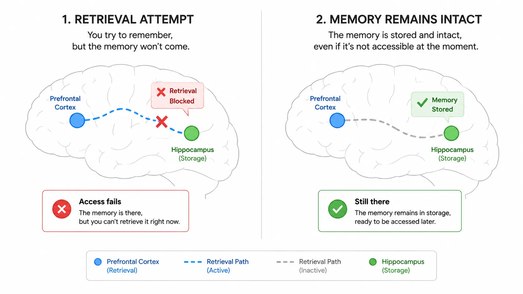 Diagram showing declarative memory pathway giving way to procedural/motor memory pathway with repetition
