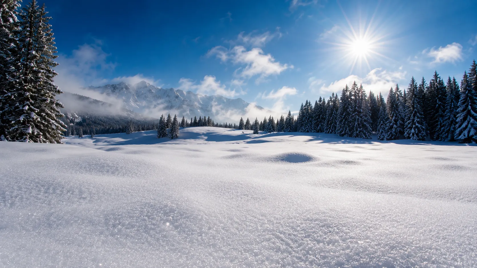 Close-up of fresh white snow on a tree branch against a blue sky